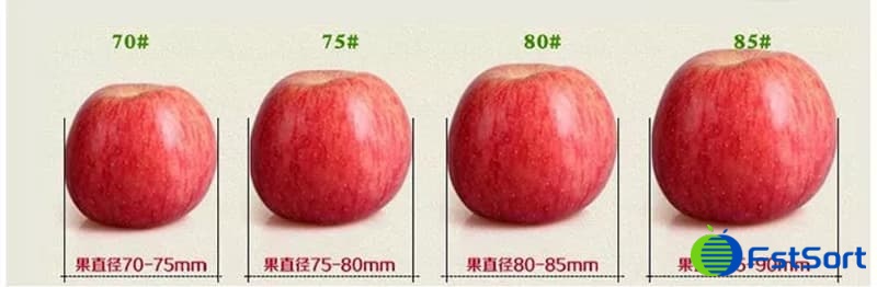 images/1730878882993apple sizer.jpg